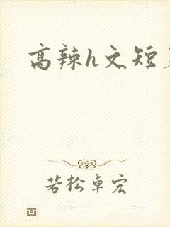 高辣h文短篇h