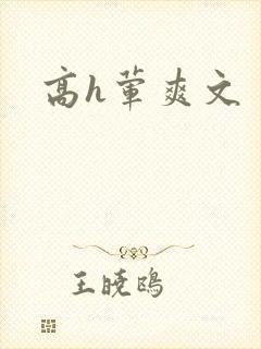 高h荤爽文封面