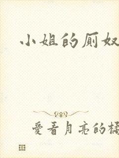 小姐的厕奴