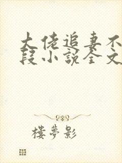 大佬追妻不择手段小说全文阅读封面