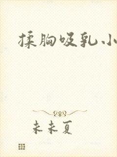 揉胸吸乳小说