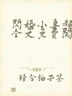 闪婚小妻超甜的全文免费阅读封面