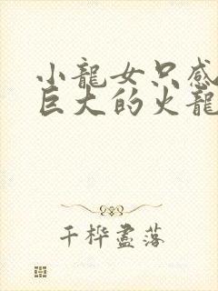 小龙女只感觉那巨大的火龙枪封面