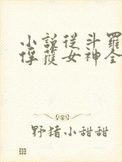 小说从斗罗开始俘获女神全文阅读封面