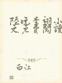 陆晚李翊小说全文免费阅读无弹窗最新封面