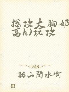 总攻大胸奶汁(高h)玩攻