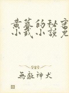 黄蓉的秘密大武小武小说免费阅读全文封面