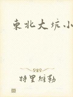 东北大坑小说