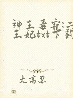 神王毒宠:二嫁王妃txt下载