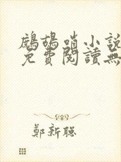 鹧鸪哨小说网站免费阅读无弹窗封面