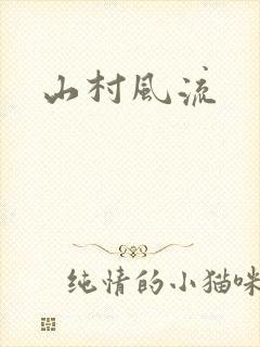 山村风流封面