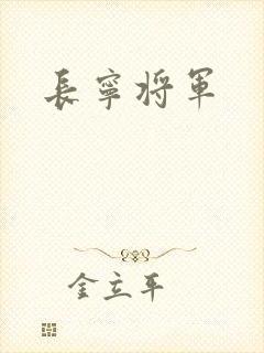 长宁将军