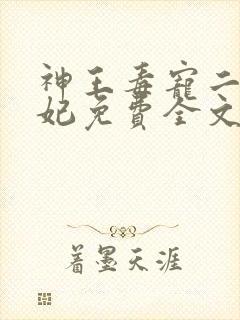 神王毒宠二嫁王妃免费全文阅读封面