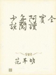 少年阿宾全文小说阅读