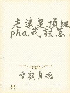 老婆是顶级alpha,我该怎么办笔趣阁