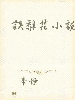 铁梨花小说封面