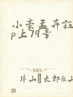 小豪孟卉钰慧三p上79章