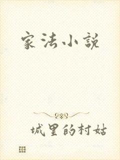 家法小说
