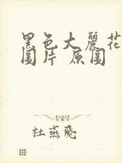 黑色大丽花真实图片 原图封面