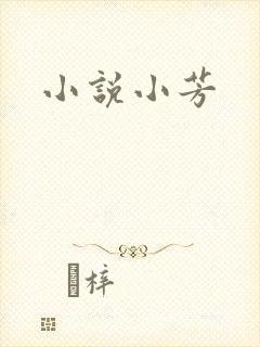 小说小芳