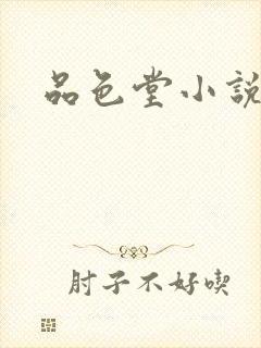 品色堂小说封面