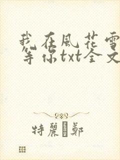 我在风花雪月里等你txt全文下载