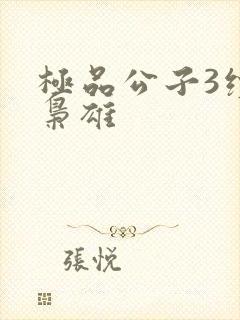 极品公子3续世枭雄