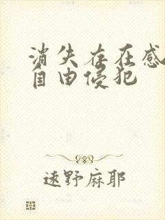 消失存在感消失自由侵犯