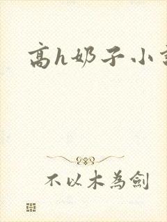 高h奶子小说