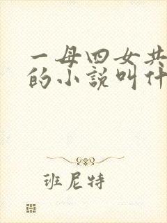 一母四女共一婿的小说叫什么