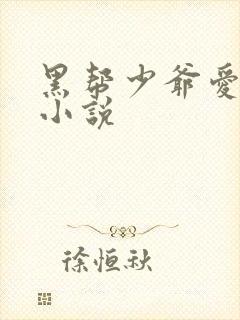 黑帮少爷爱上我小说