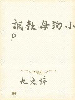 调教母狗小说np