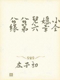 公公儿媳小说孽缘第六章全文阅读免费