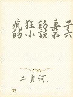 疯狂的妻子王慧的小说第六章在线阅读