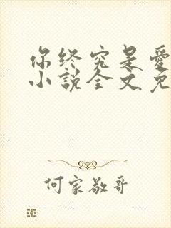 你终究是爱我的小说全文免费阅读
