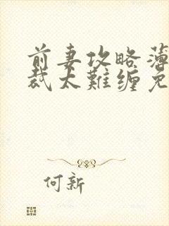 前妻攻略薄情总裁太难缠免费阅读封面