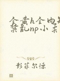 全黄h全肉短篇禁乱np小柔