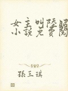 女主叫陆昭菱的小说免费阅读