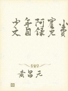 少年阿宾小说全文目录免费阅读无弹窗