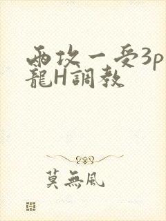 两攻一受3p双龙H调教