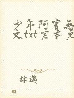 少年阿宾无删全文txt完本免费下载封面
