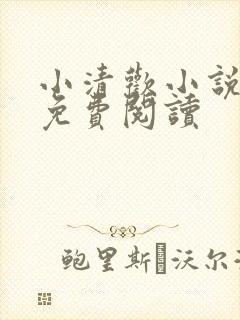 小清欢小说全文免费阅读