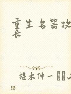 重生名器攻略兄长