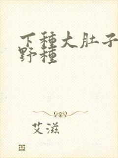 下种大肚子怀孕野种