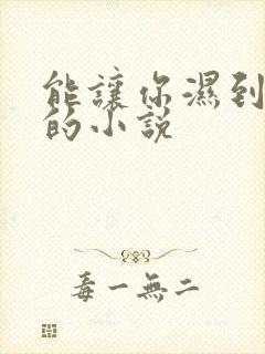 能让你湿到不行的小说