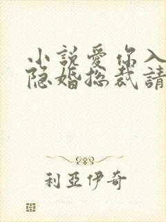 小说爱你入骨,隐婚总裁请签字未删减