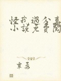 怪我过分喜欢你小说免费阅读