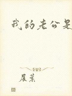 我的老公是军阀
