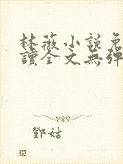 林薇小说免费阅读全文无弹窗封面