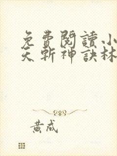 免费阅读小说九天斩神诀林辰封面